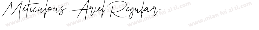 Meticulous Ariel Regular字体转换